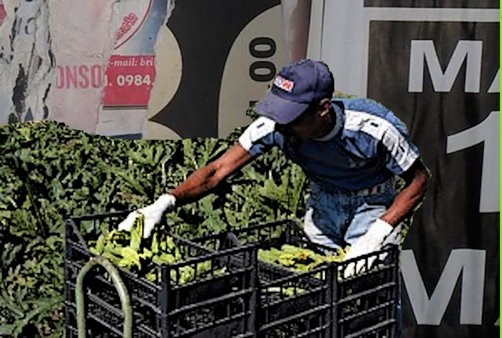 CROCEVIA: SISTEMI ALIMENTARI GLOBALIZZATI, DISUGUAGLIANZA STRUTTURALE E COVID-19